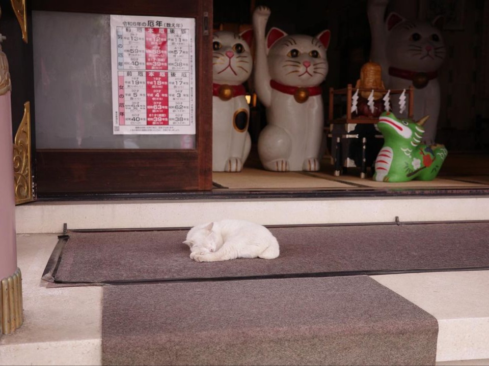 Photography - Solo Trip to Tokyo | Hsuan Xie's Portfolio | Gengen