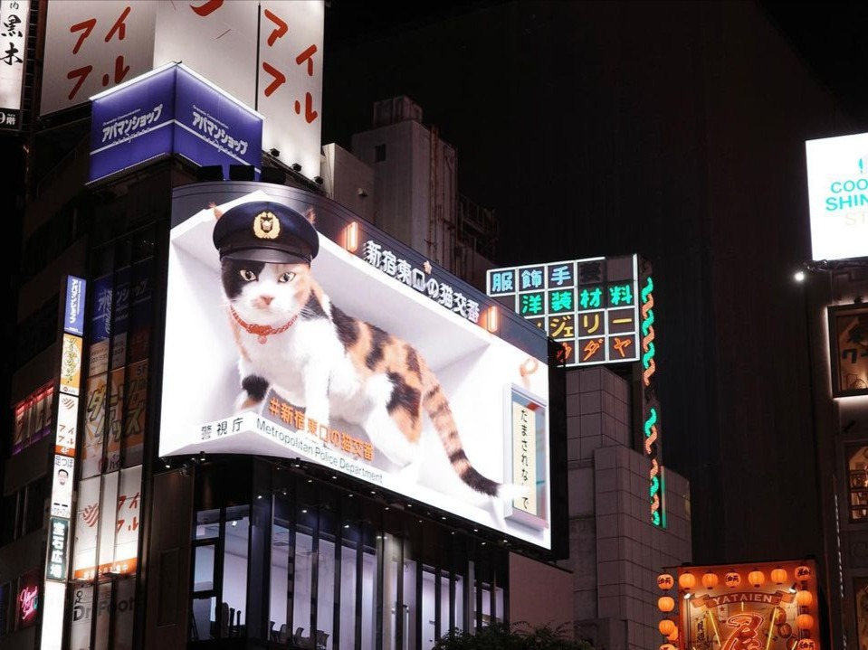 Photography - Solo Trip to Tokyo | Hsuan Xie's Portfolio | Gengen