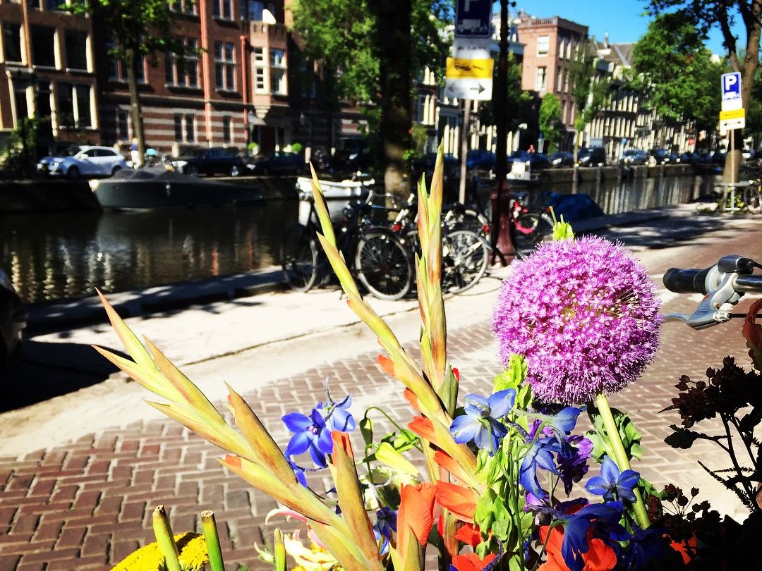 🇳🇱 Internship at Amsterdam’s High-End Flower Shop A.P Bloem | Ching Hung's Portfolio | Gengen