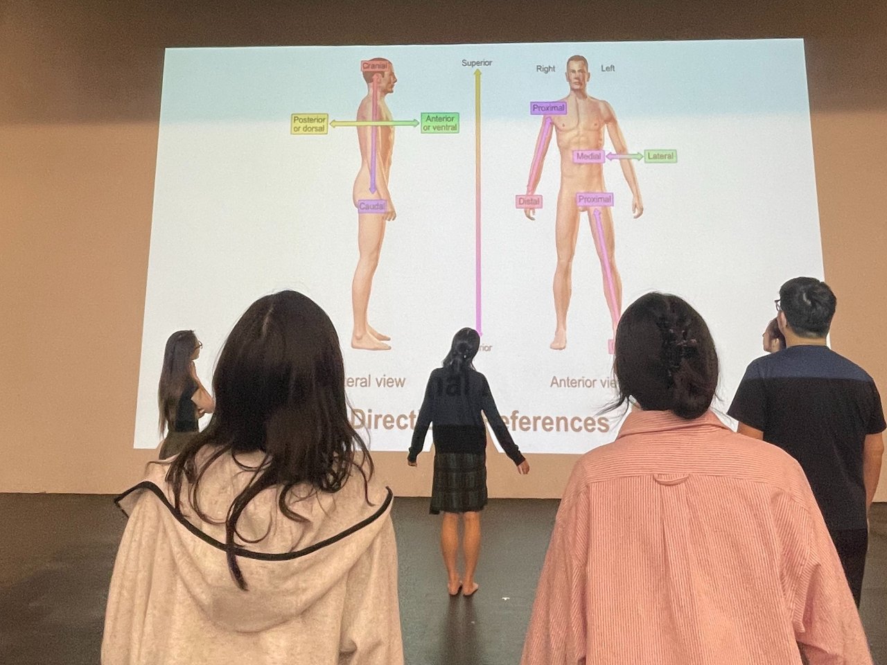 “Drama Action Critique” Workshop | Hao xuan Liu's Portfolio | Gengen