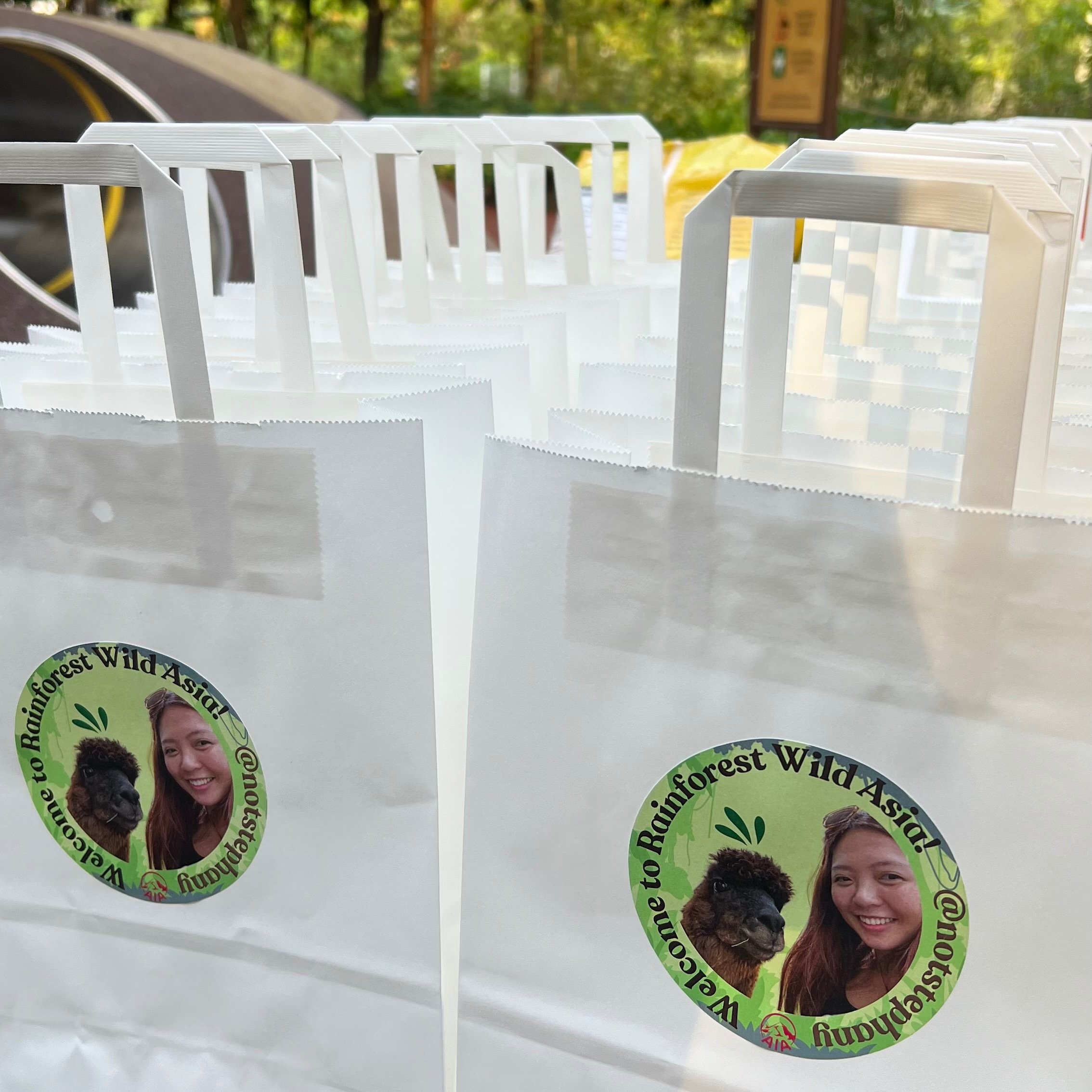 Client Appreciation Event at Rainforest Wild Asia | Stephany Seah's Portfolio | Gengen