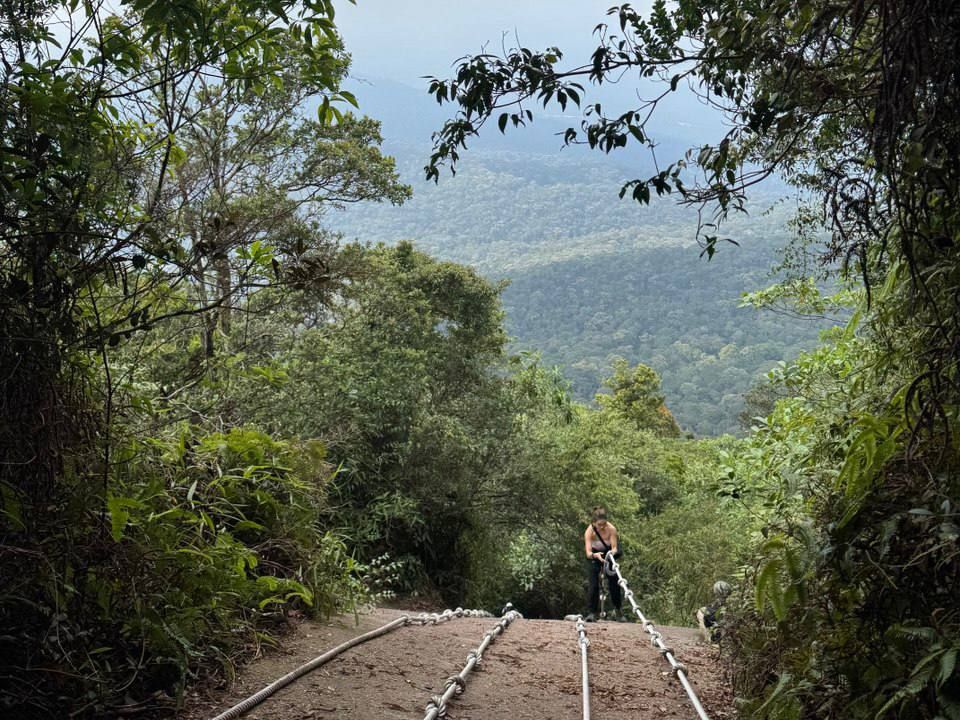 Curious by Nature, Adventurous at Heart | Stephanie Tsang's Portfolio | Gengen