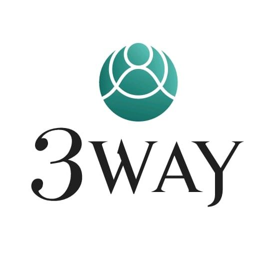 3WAY GLOBAL PTE. LTD.