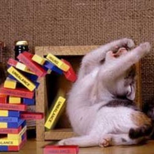 Chun Che Peng | Gengen