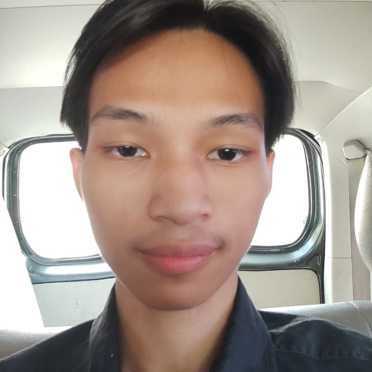 alvon tritara | Gengen