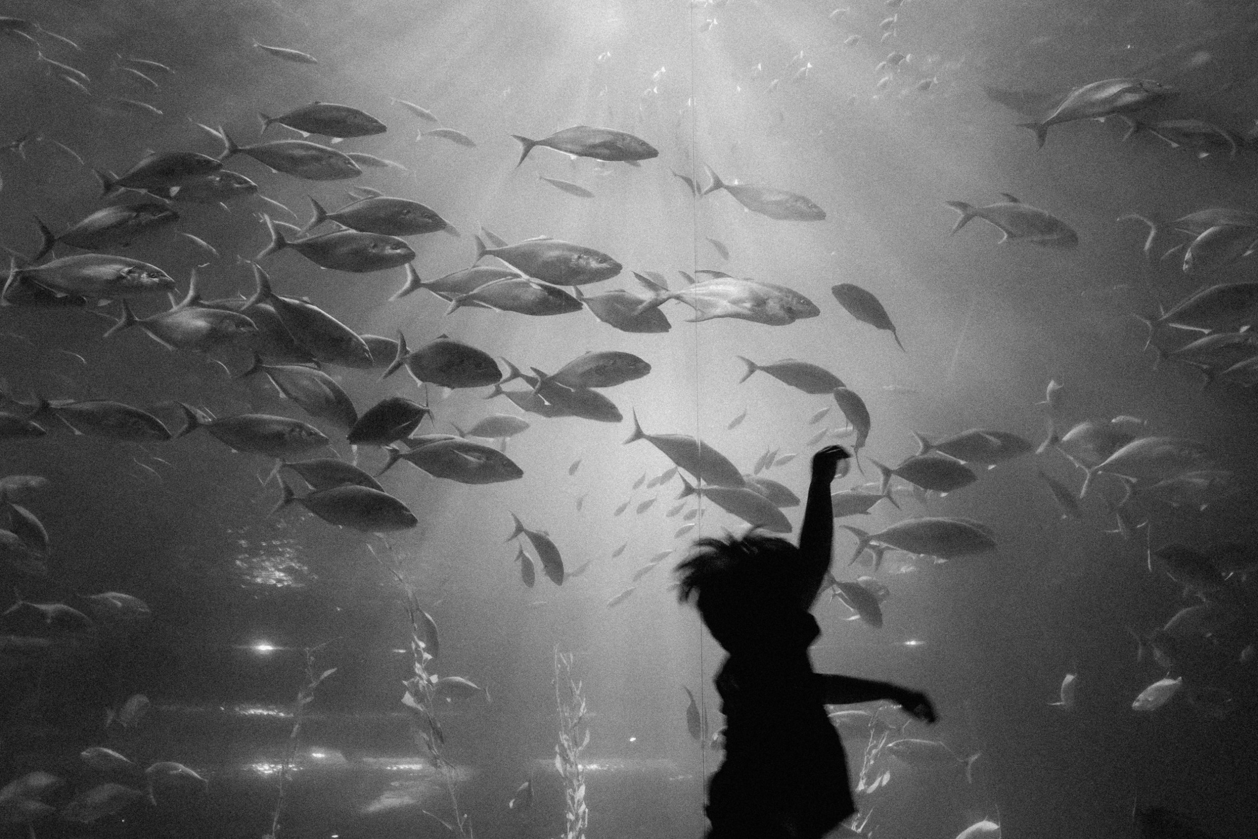 Other Creative Works | Evan Ang's Portfolio | Gengen