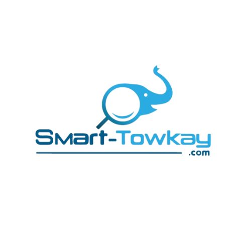 Smart Towkay Ventures Pte. Ltd.